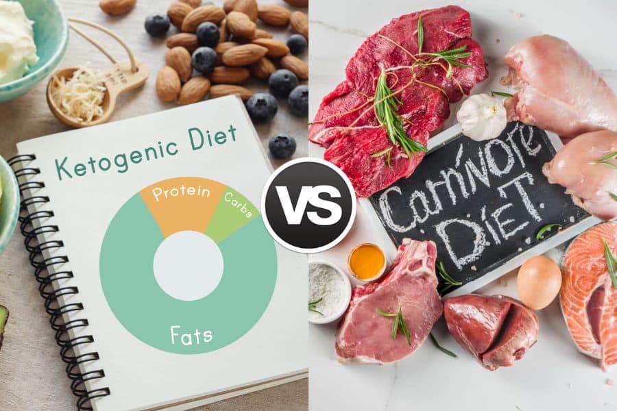 Carnivore Diet vs Keto Diet