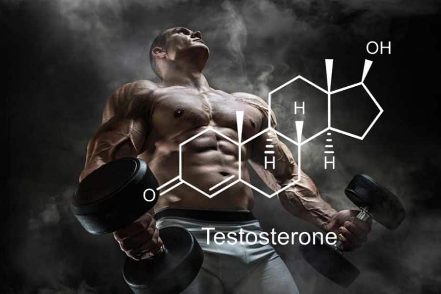 Best Testosterone Booster for Men Over 40