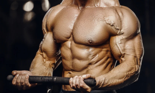 best bicep exercises