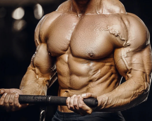 best bicep exercises