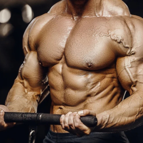 best bicep exercises