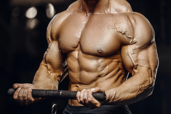 best bicep exercises