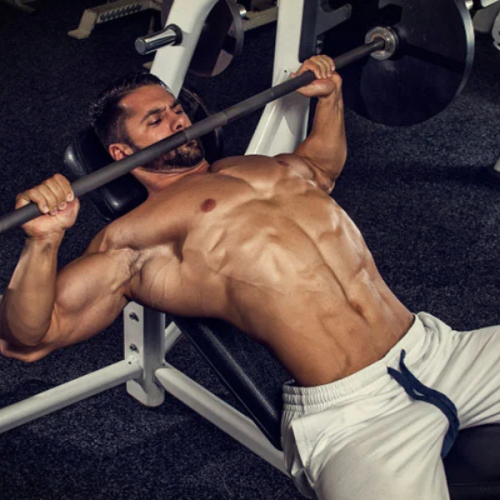 best chest exercises