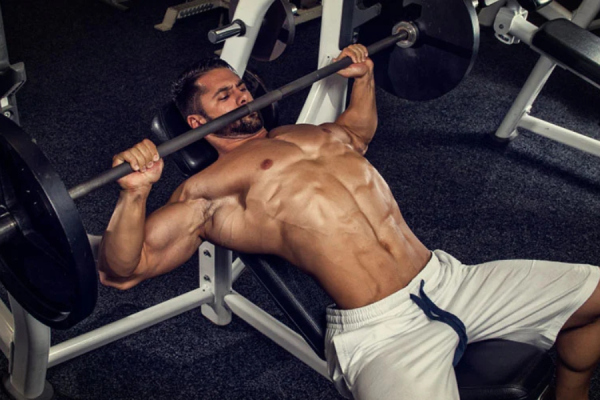 best chest exercises