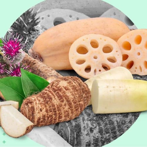 Anti Inflammatory Diet