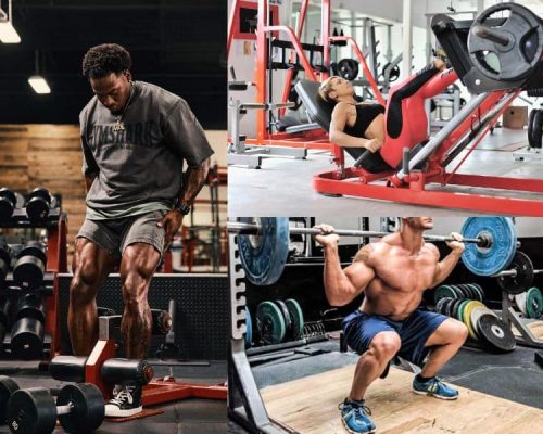 Best Strength Training Exercises for Legs