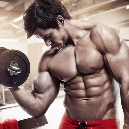 Supplements for Accelerated Muscle Gain