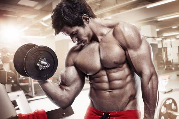 Supplements for Accelerated Muscle Gain