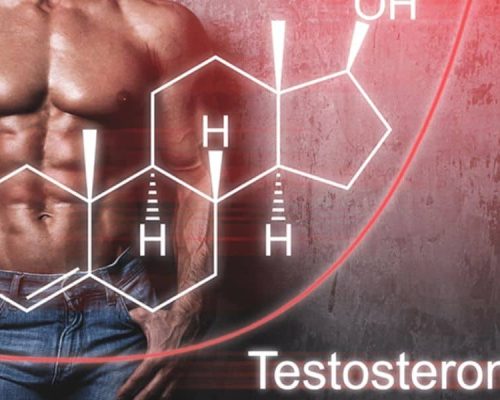 Testosterone