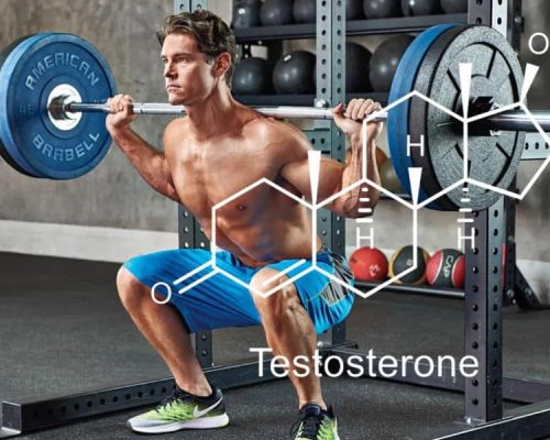 Testosterone Boosters