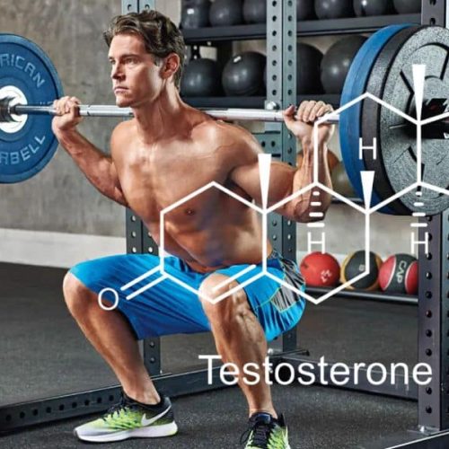 Testosterone Boosters