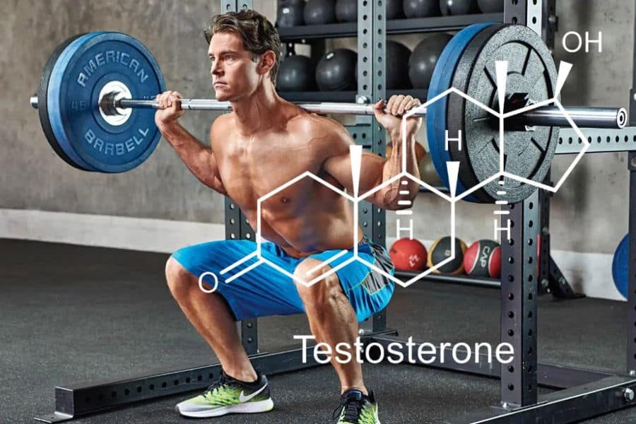 Testosterone Boosters