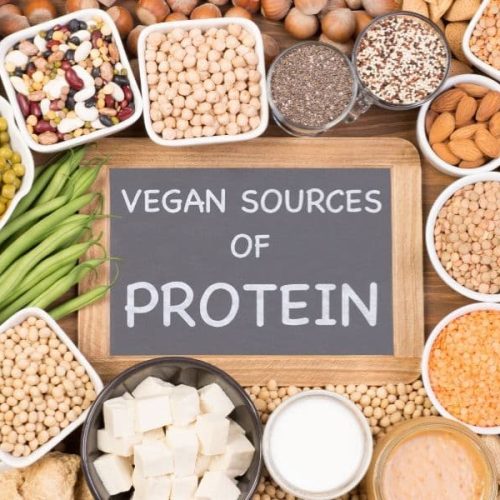 Vegan Diet Protein Sources