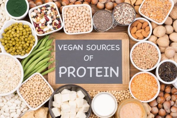 Vegan Diet Protein Sources