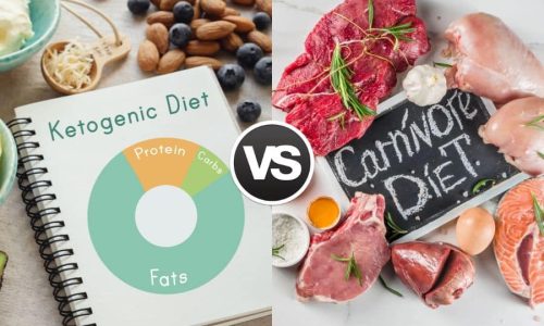Carnivore Diet vs Keto Diet