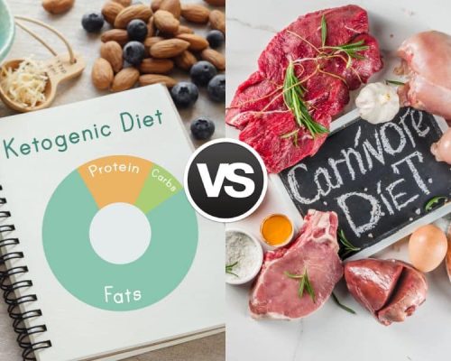 Carnivore Diet vs Keto Diet