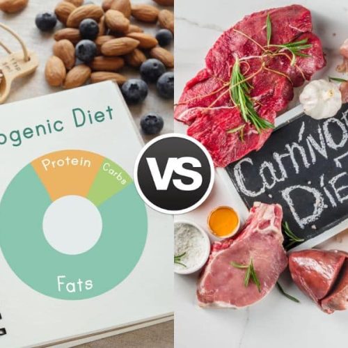 Carnivore Diet vs Keto Diet