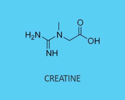 Creatine