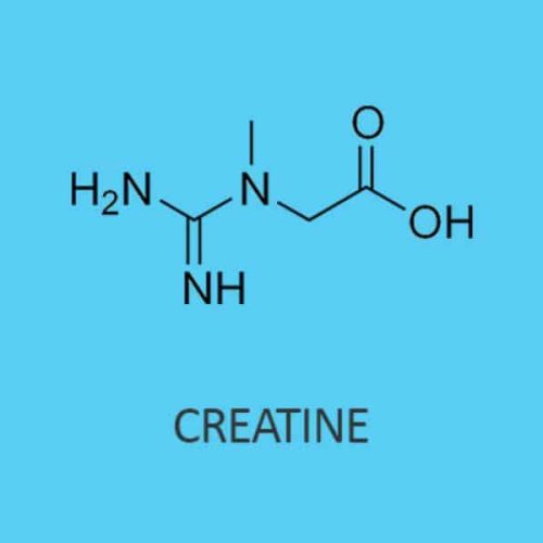 Creatine