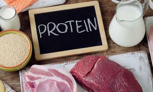 High-Protein Diet