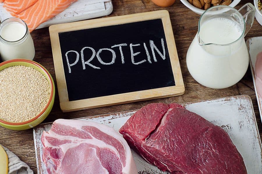 High-Protein Diet