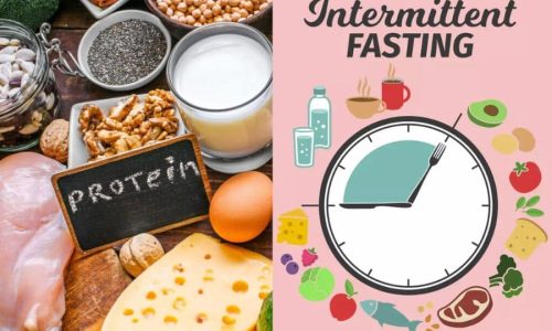 Intermittent Fasting vs High-Protein Diet