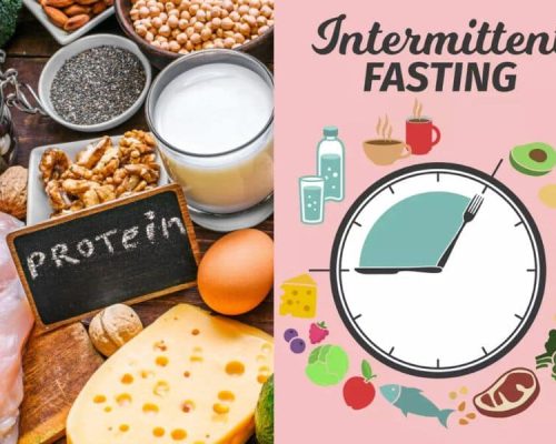 Intermittent Fasting vs High-Protein Diet