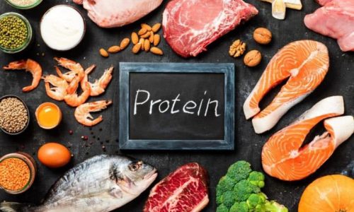 High-Protein Diet