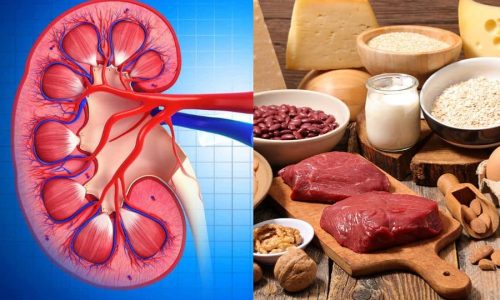 High-Protein Diet for Kidney Strength