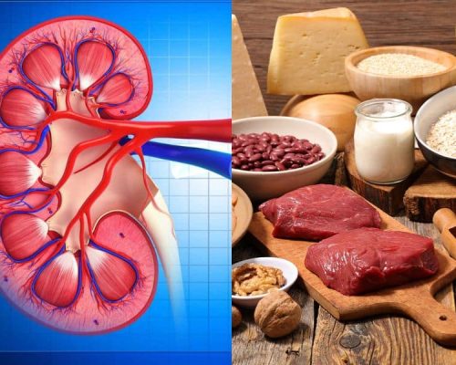 High-Protein Diet for Kidney Strength