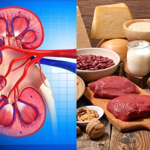 High-Protein Diet for Kidney Strength