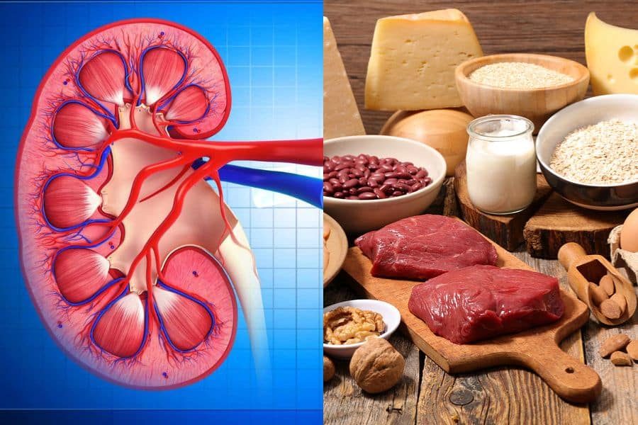 High-Protein Diet for Kidney Strength