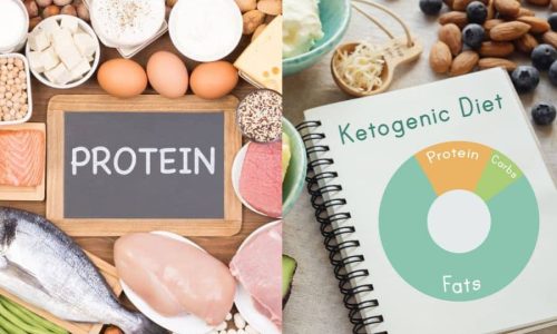 High-Protein and Ketogenic Diets