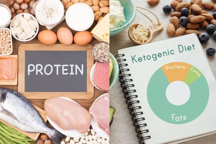 High-Protein and Ketogenic Diets