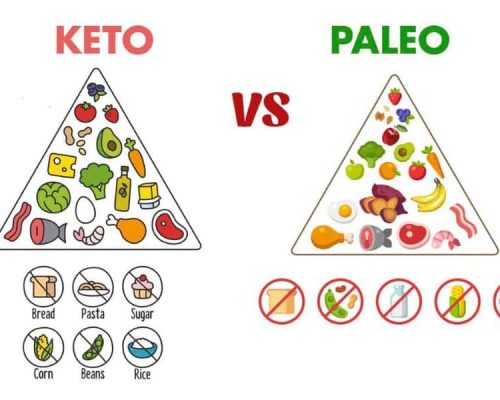 Paleo Diet vs Keto