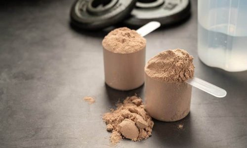 Protein Powder