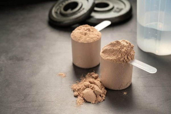 Protein Powder