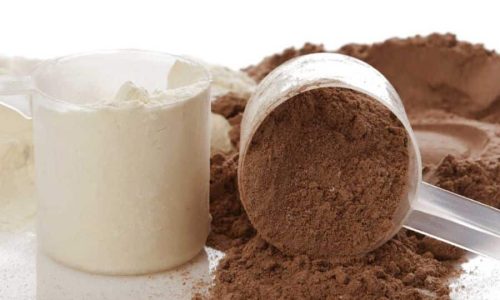 Protein Powder