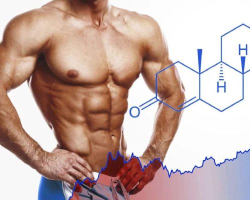 Best Testosterone Booster