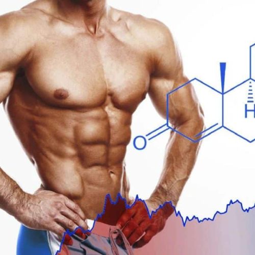 Best Testosterone Booster