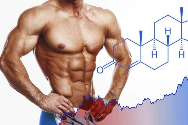 Best Testosterone Booster