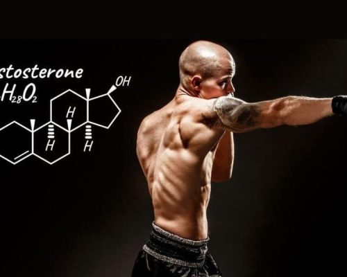 Testosterone Booster
