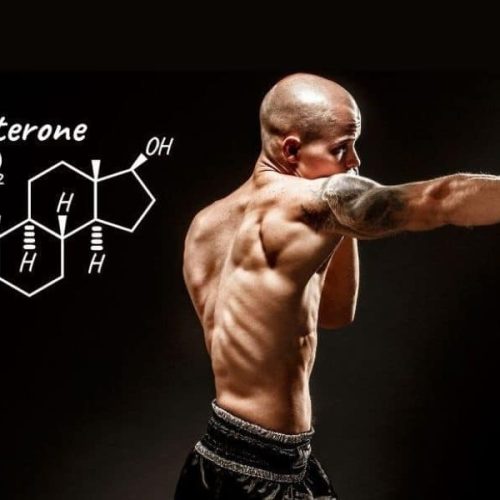 Testosterone Booster