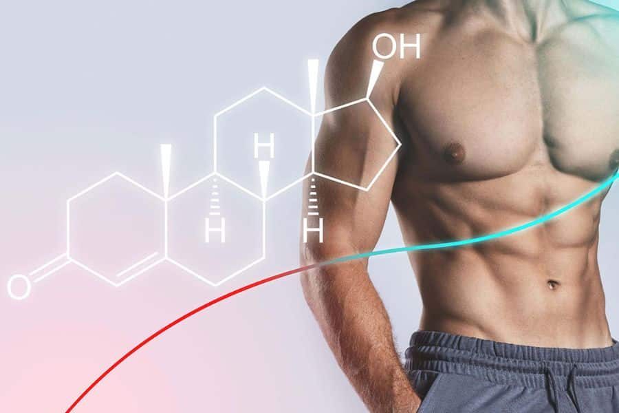 Testosterone Booster
