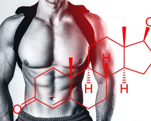 Testosterone Boosters