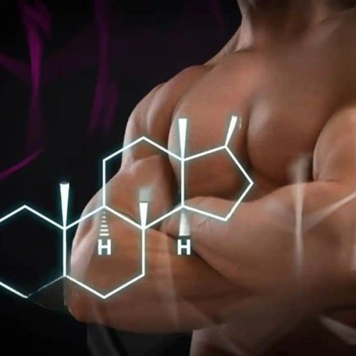 Testosterone Boosters