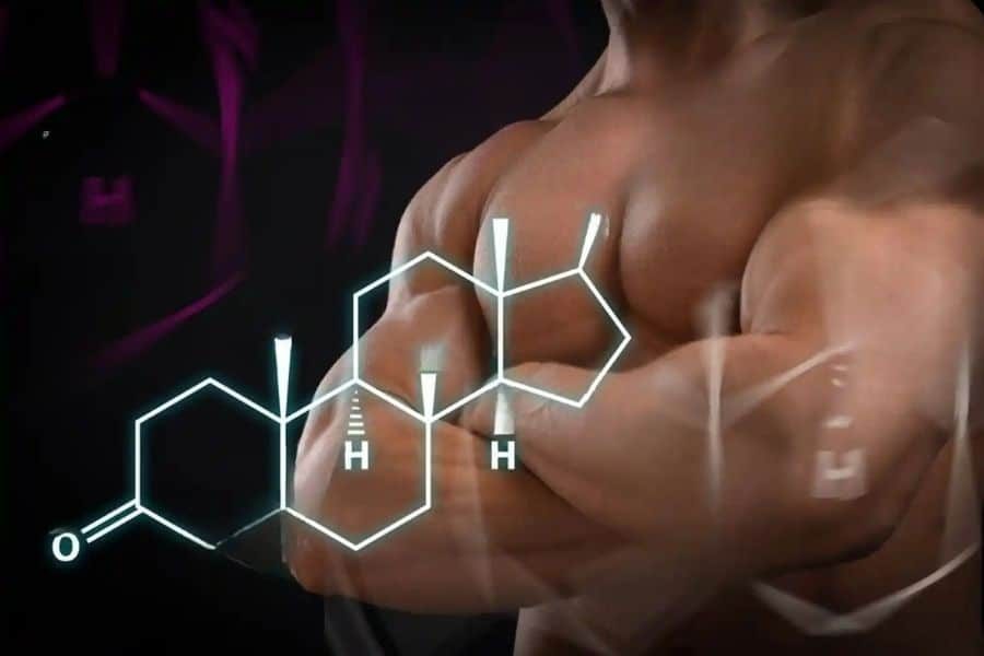 Testosterone Boosters