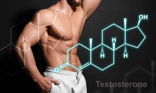 Best Testosterone Booster
