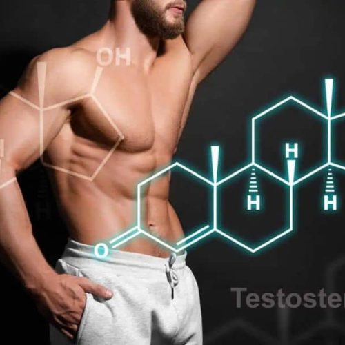 Best Testosterone Booster