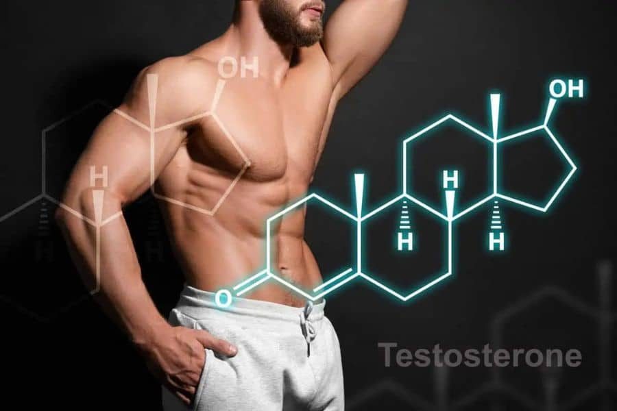 Best Testosterone Booster